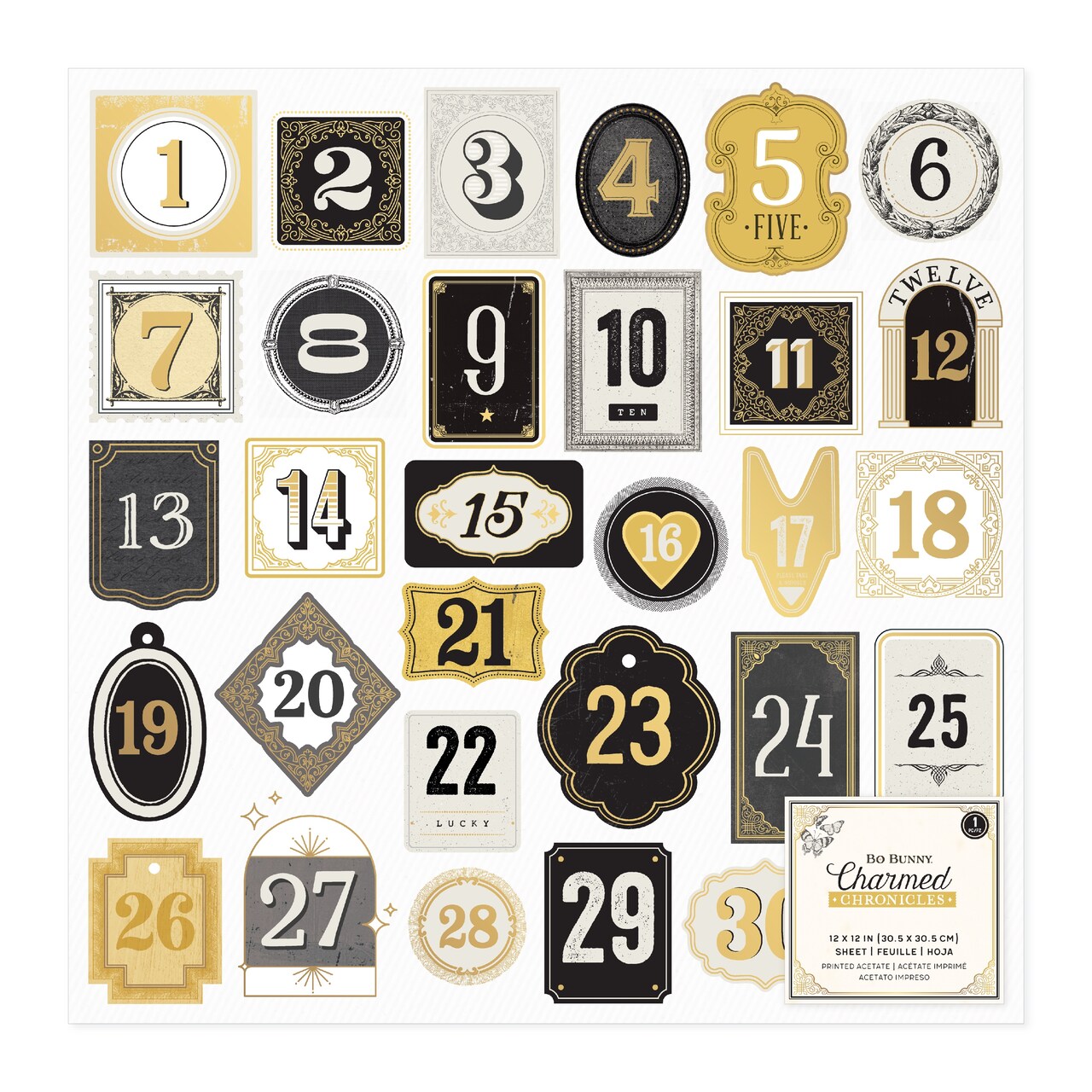 Bo Bunny Charmed Chronicles Specialty Paper 12"X12"-Printed Acetate